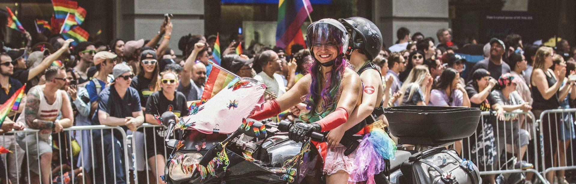 banner image